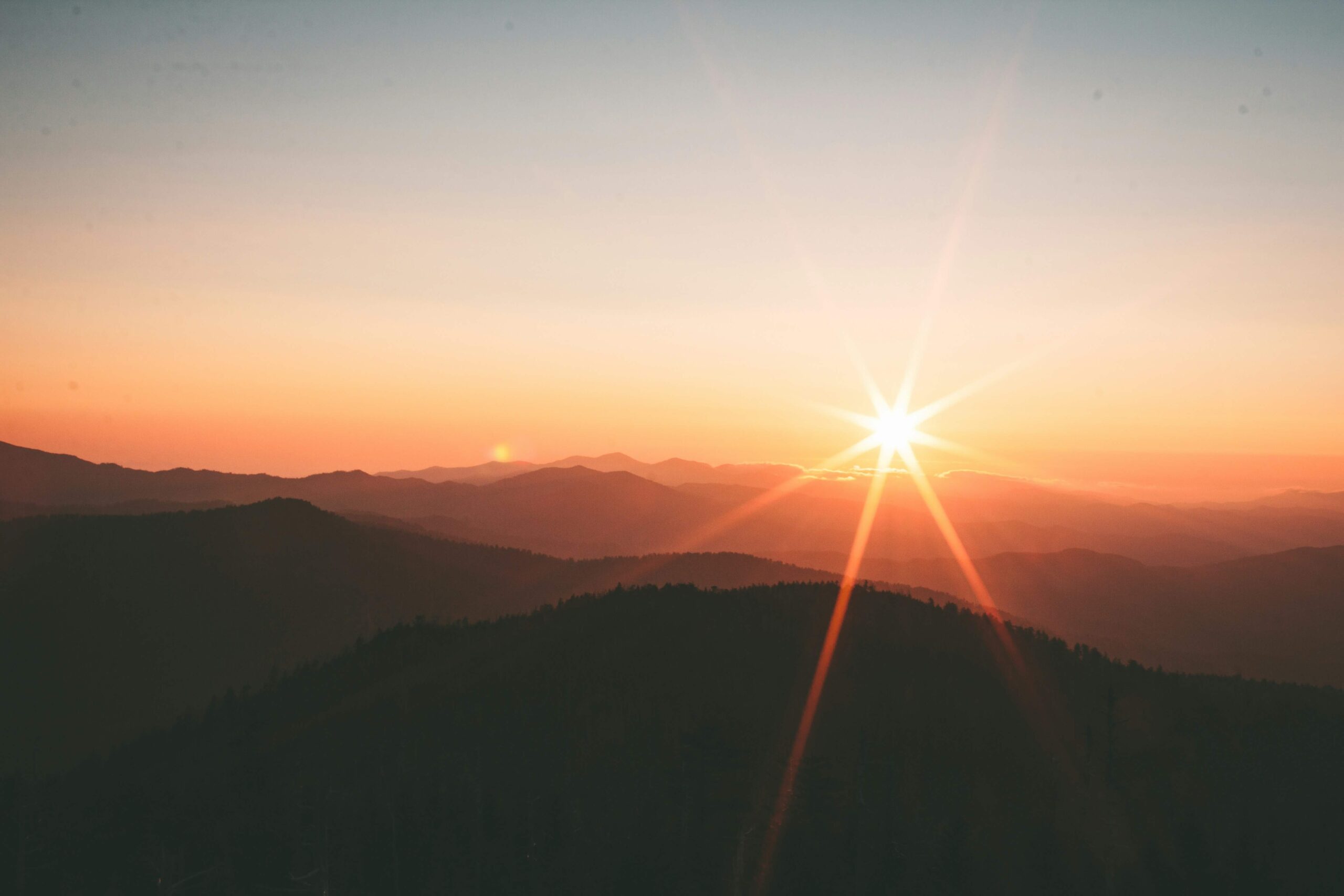 gratitude